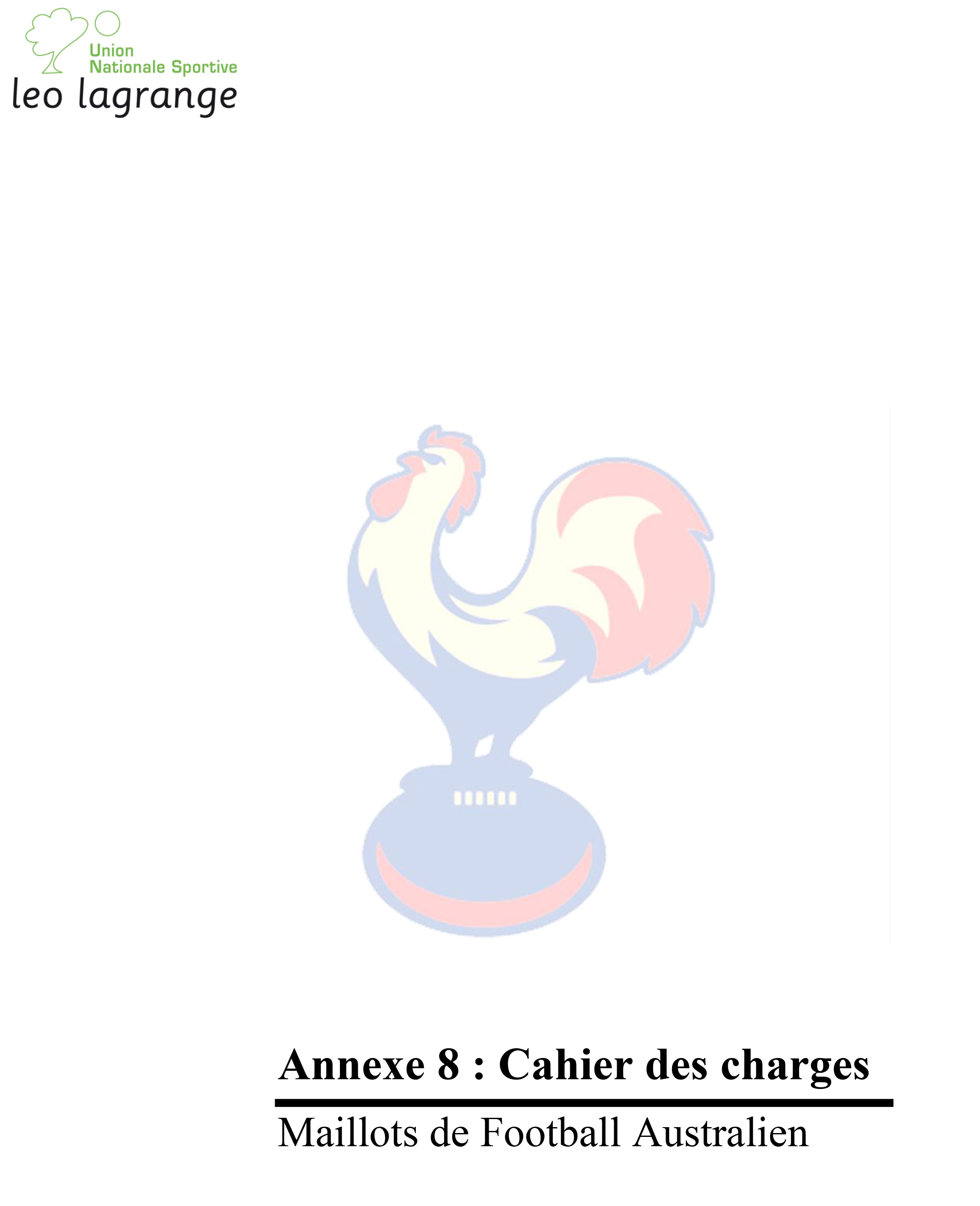 Annexe 8 Cahier des charges Maillots-1
