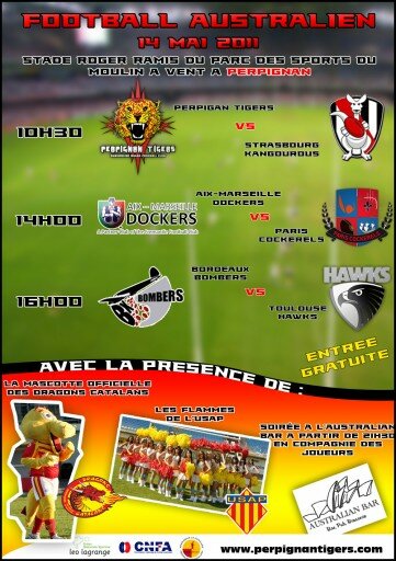 affichetigers (1)